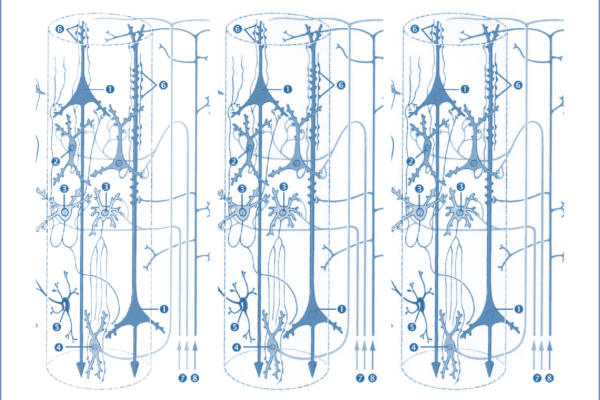 Dynamic Causal Modelling (DCM): DCM – Neural Mass Models and Bayesian Inference